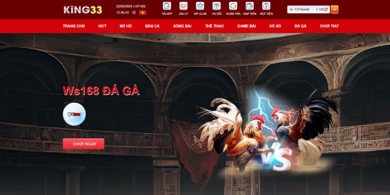 Sảnh đá gà tại KING33 được đông đảo người chơi ủng hộ
